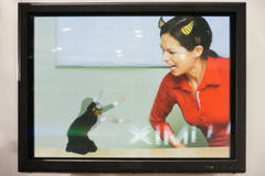 Dynamic Photo