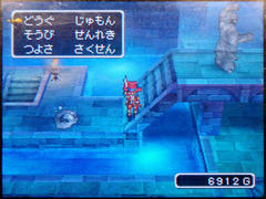 DRAGON QUEST IX