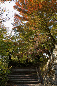 清水寺