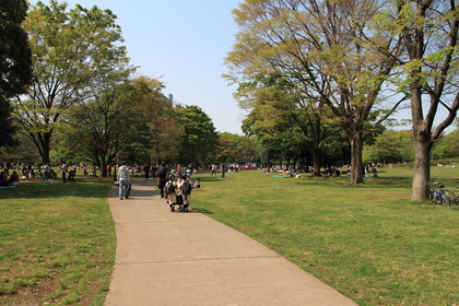 砧公園