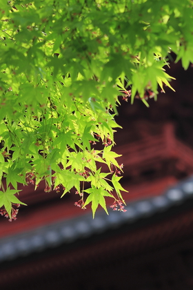 Positive colors