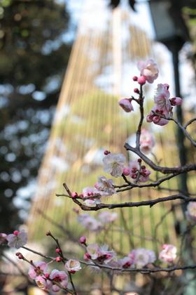 Winter into Spring