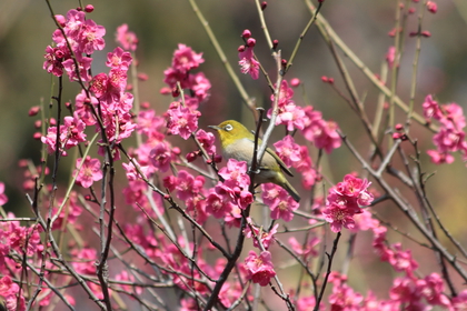 Winter into Spring