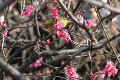 Winter into Spring